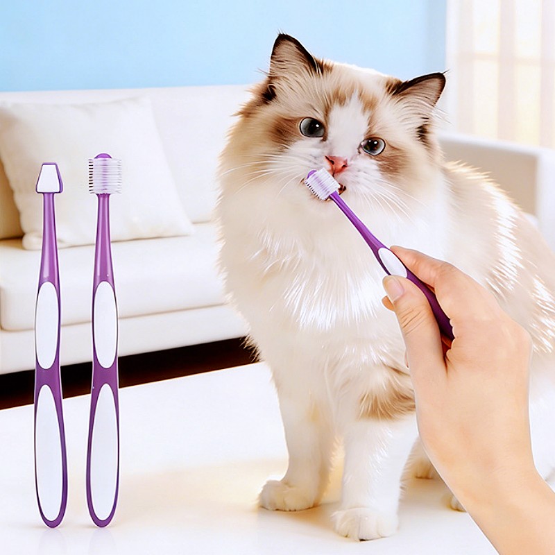 แปรงสีฟันสุนัข 360 องศา แปรงสี - Teeth Whitening Brush บทวิจารณ์และราคา