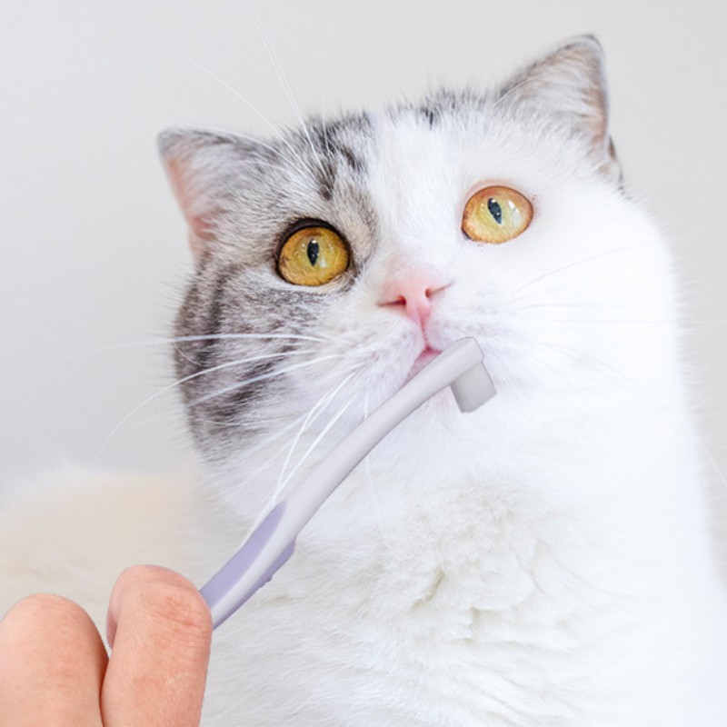 แปรงสีฟันสุนัข แปรงทำความสะอาด - Teeth Whitening Brush บทวิจารณ์และราคา