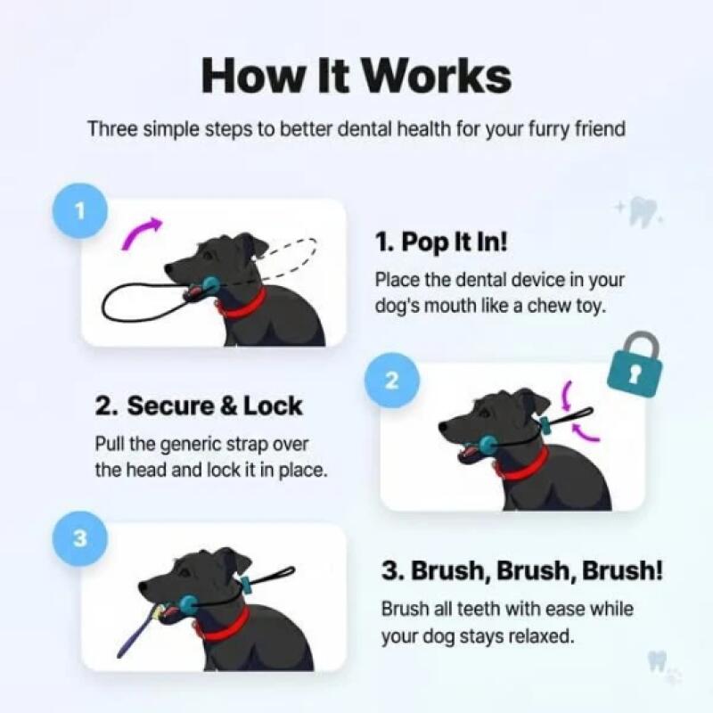 แท่งเคี้ยวทำความสะอาดฟันสัตว์เ - Teeth Whitening Brush บทวิจารณ์และราคา