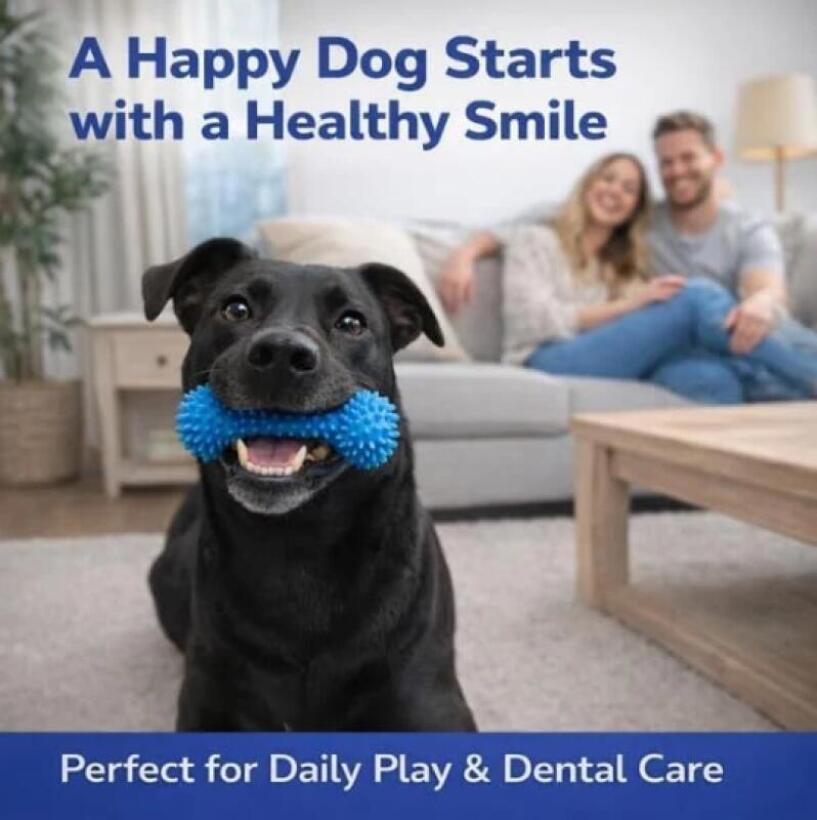 แท่งเคี้ยวทำความสะอาดฟันสัตว์เ - Teeth Whitening Brush บทวิจารณ์และราคา