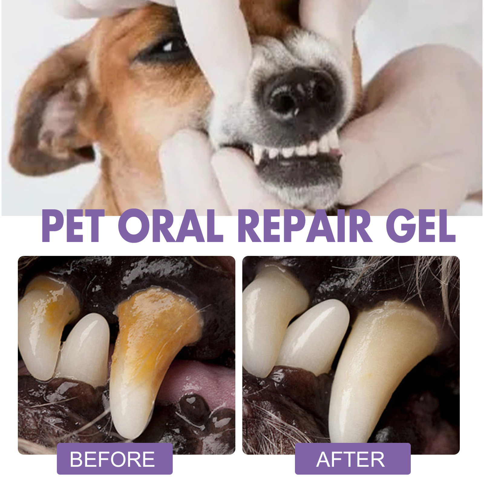 สัตว์เลี้ยง Oral Repair GEL Pu - Teeth Whitening Price บทวิจารณ์และราคา