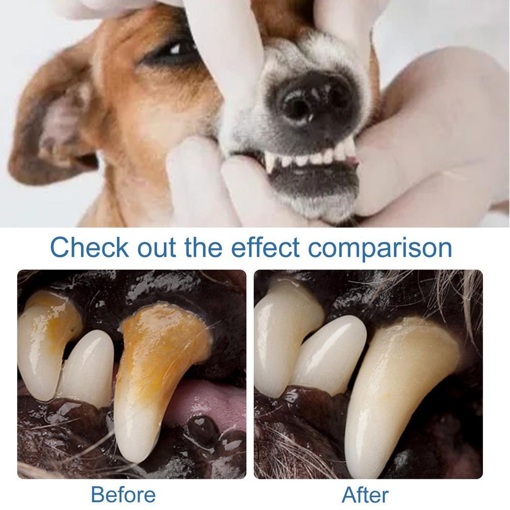 โฟมทำความสะอาดช่องปากสำหรับสัต - Teeth Whitening Brush บทวิจารณ์และราคา