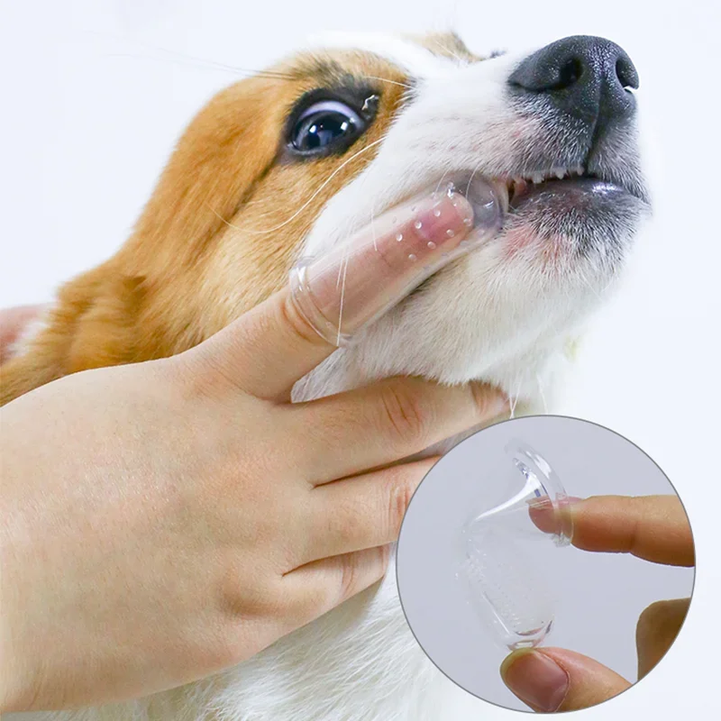 Super Soft สัตว์เลี้ยงแปรงสีฟั - Teeth Whitening Brush บทวิจารณ์และราคา